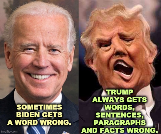 Biden's occasional gaffes are nothing compared to Trump's non-stop insanity. | TRUMP ALWAYS GETS WORDS, SENTENCES, PARAGRAPHS AND FACTS WRONG. SOMETIMES BIDEN GETS A WORD WRONG. | image tagged in biden old trump crazy old is safer,biden,good,trump,crazy,insane | made w/ Imgflip meme maker