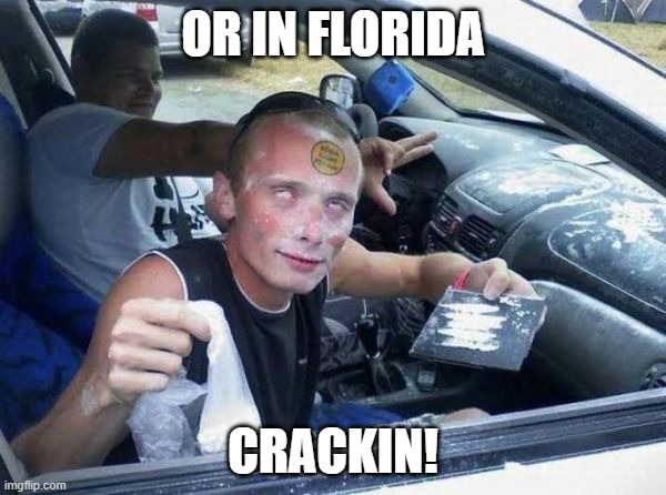 crackheads | OR IN FLORIDA; CRACKIN! | image tagged in crackheads | made w/ Imgflip meme maker