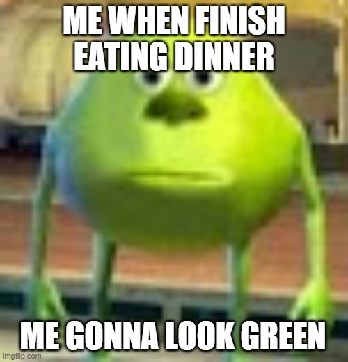Sully Wazowski |  ME WHEN FINISH EATING DINNER; ME GONNA LOOK GREEN | image tagged in sully wazowski | made w/ Imgflip meme maker