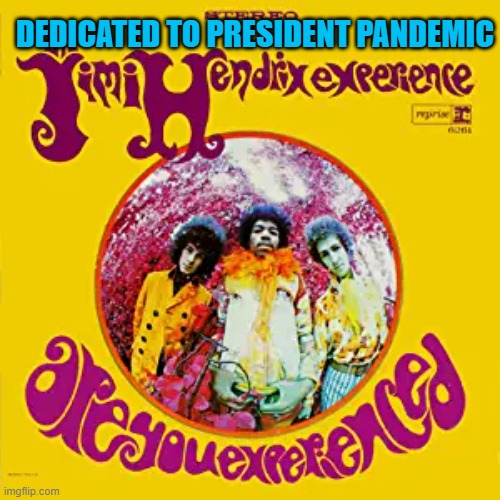 For Hazy President Pandemic | DEDICATED TO PRESIDENT PANDEMIC | image tagged in politics | made w/ Imgflip meme maker