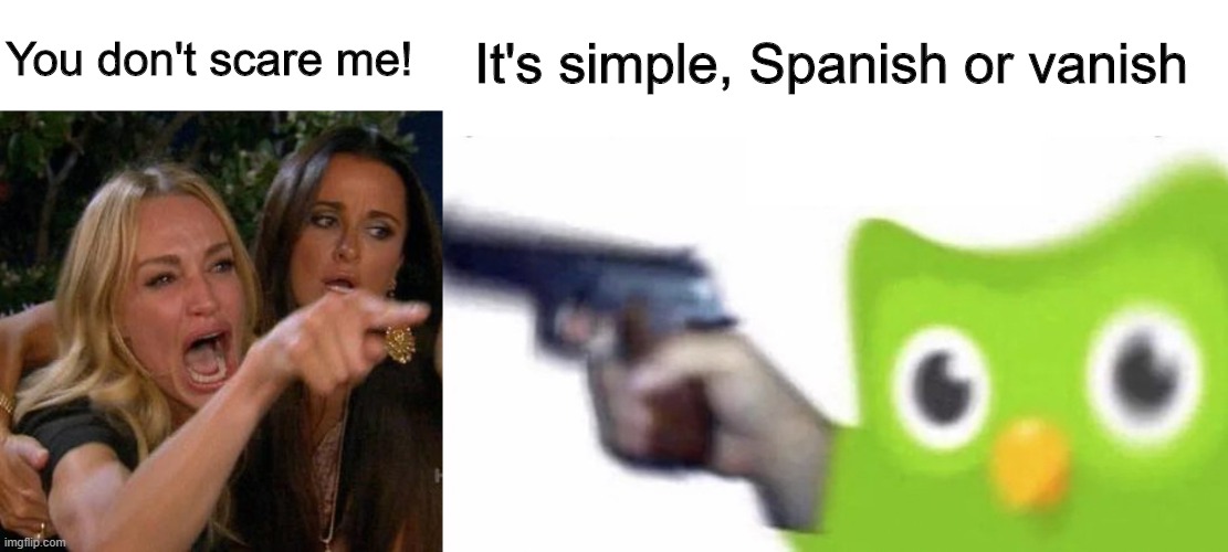 You don't scare me! It's simple, Spanish or vanish | image tagged in duolingo gun,memes,woman yelling at cat | made w/ Imgflip meme maker