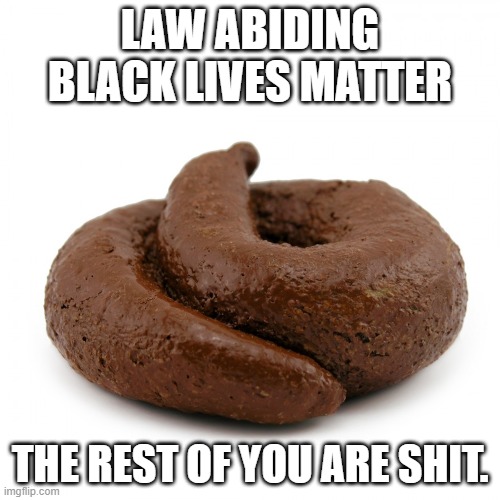 Eat it. | LAW ABIDING
BLACK LIVES MATTER; THE REST OF YOU ARE SHIT. | image tagged in piece of shit,memes,blm | made w/ Imgflip meme maker
