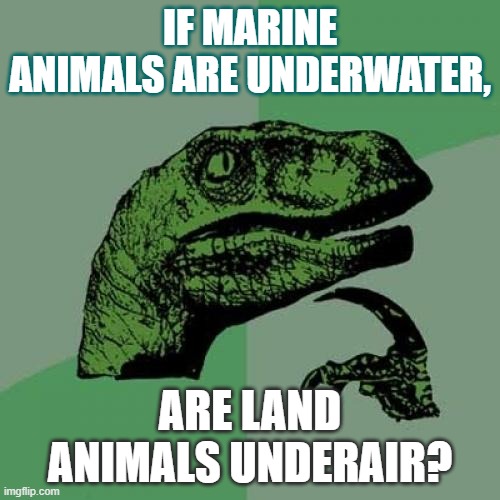 And would aliens be underspace? | IF MARINE ANIMALS ARE UNDERWATER, ARE LAND ANIMALS UNDERAIR? | image tagged in memes,philosoraptor,water,air,animals,analogy | made w/ Imgflip meme maker