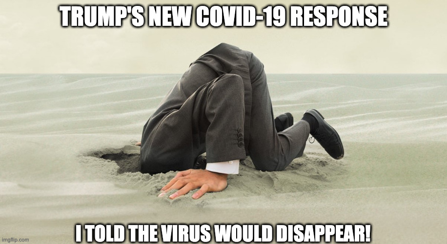 Covid-19 | TRUMP'S NEW COVID-19 RESPONSE; I TOLD THE VIRUS WOULD DISAPPEAR! | image tagged in head buried in sand | made w/ Imgflip meme maker