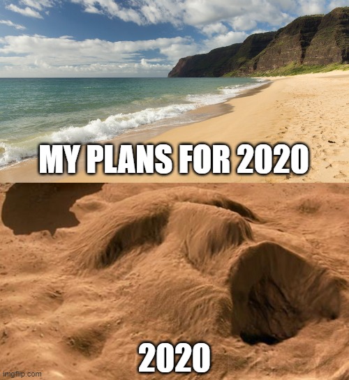 My Plans for 2020 | MY PLANS FOR 2020; 2020 | image tagged in hawaii,the mummy,2020 | made w/ Imgflip meme maker