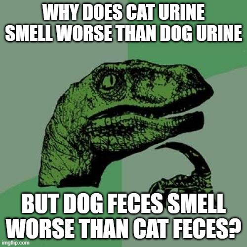 Philosoraptor Meme | WHY DOES CAT URINE SMELL WORSE THAN DOG URINE; BUT DOG FECES SMELL WORSE THAN CAT FECES? | image tagged in memes,philosoraptor | made w/ Imgflip meme maker