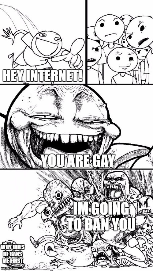 websites AREN'T gay | HEY INTERNET! YOU ARE GAY; IM GOING TO BAN YOU; WHY DOES HE BANS ME FIRST | image tagged in memes,hey internet | made w/ Imgflip meme maker
