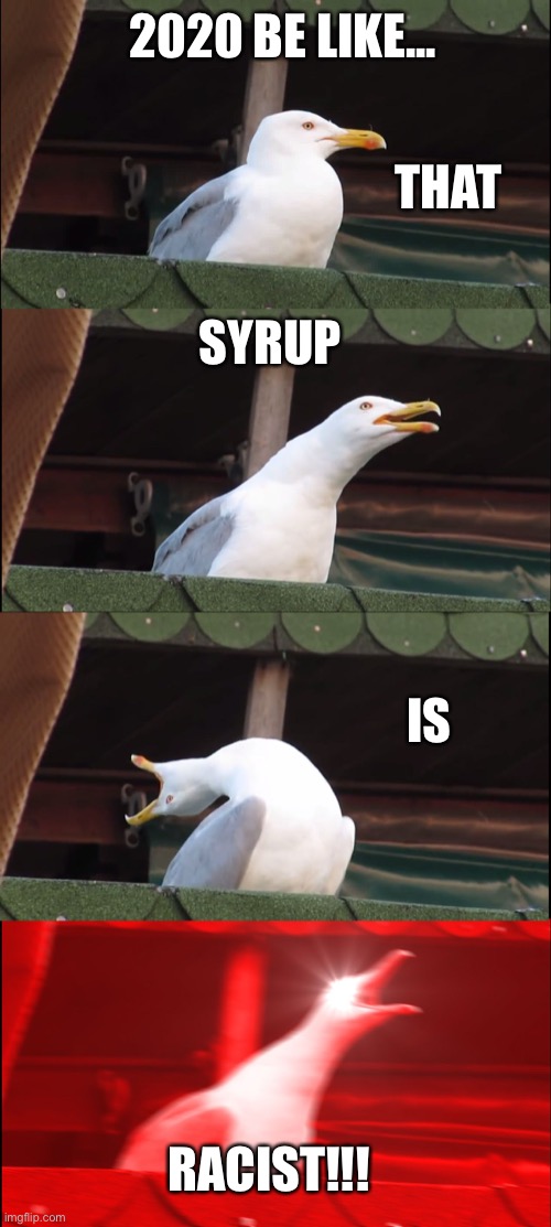 Inhaling Seagull Meme | 2020 BE LIKE... THAT; SYRUP; IS; RACIST!!! | image tagged in memes,inhaling seagull | made w/ Imgflip meme maker