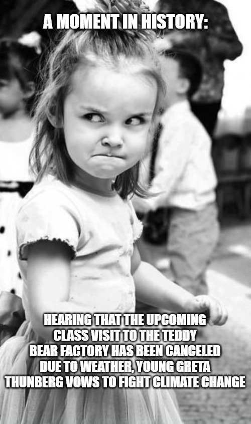 Angry Toddler Meme | A MOMENT IN HISTORY:; HEARING THAT THE UPCOMING CLASS VISIT TO THE TEDDY BEAR FACTORY HAS BEEN CANCELED DUE TO WEATHER, YOUNG GRETA THUNBERG VOWS TO FIGHT CLIMATE CHANGE | image tagged in memes,angry toddler | made w/ Imgflip meme maker
