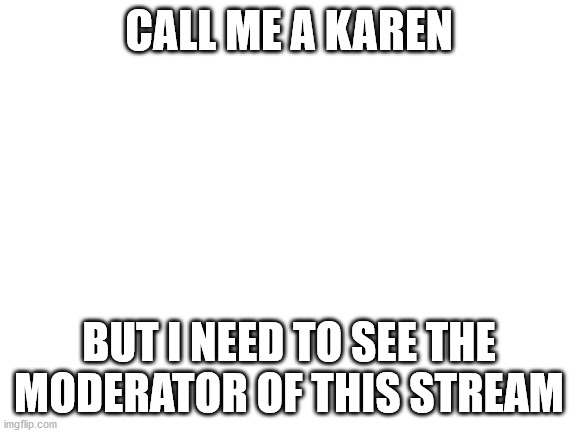 Blank White Template | CALL ME A KAREN; BUT I NEED TO SEE THE MODERATOR OF THIS STREAM | image tagged in blank white template | made w/ Imgflip meme maker