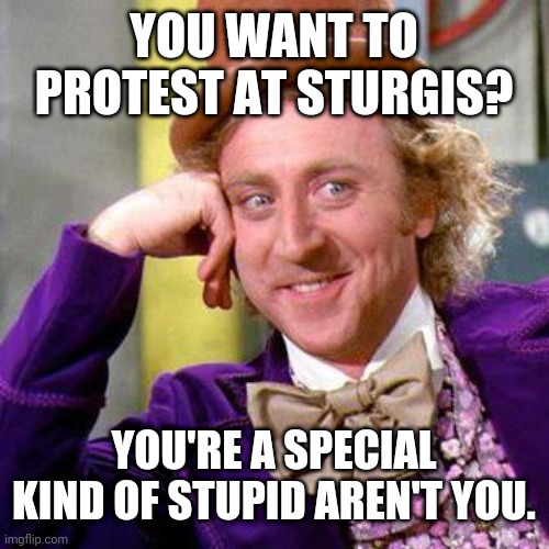 Willy Wonka Blank | YOU WANT TO PROTEST AT STURGIS? YOU'RE A SPECIAL KIND OF STUPID AREN'T YOU. | image tagged in willy wonka blank | made w/ Imgflip meme maker