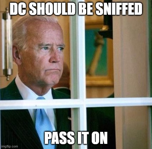 Biden Needs A Sniff | DC SHOULD BE SNIFFED; PASS IT ON | image tagged in sad joe biden,creepy joe biden | made w/ Imgflip meme maker