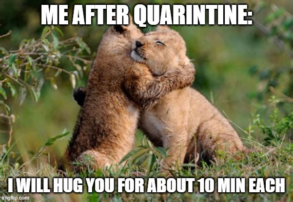 hugs to death | ME AFTER QUARINTINE:; I WILL HUG YOU FOR ABOUT 10 MIN EACH | image tagged in hugs to death | made w/ Imgflip meme maker