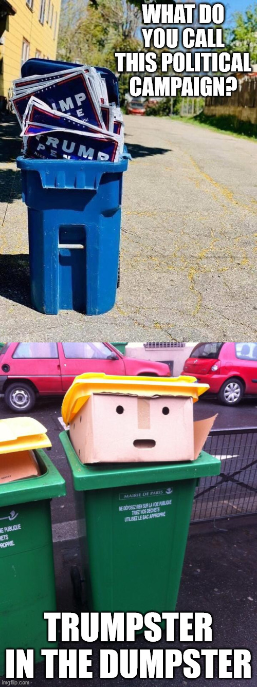 Yeah, it looks just like him. | WHAT DO YOU CALL THIS POLITICAL CAMPAIGN? TRUMPSTER IN THE DUMPSTER | image tagged in trumpster in the dumpster 1,post tulsa rally,white trash | made w/ Imgflip meme maker