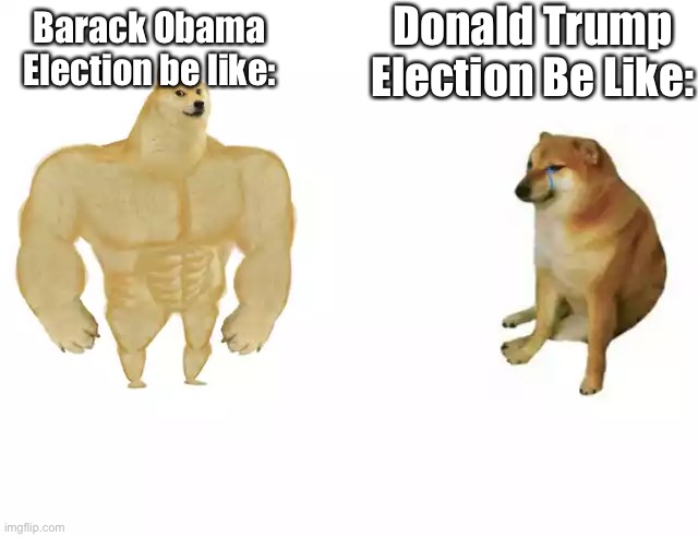 Buff Doge vs. Cheems Meme | Donald Trump Election Be Like:; Barack Obama Election be like: | image tagged in buff doge vs cheems | made w/ Imgflip meme maker