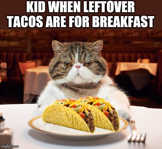 hungry cat | KID WHEN LEFTOVER TACOS ARE FOR BREAKFAST | image tagged in hungry cat | made w/ Imgflip meme maker