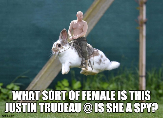 WHAT SORT OF FEMALE IS THIS JUSTIN TRUDEAU @ IS SHE A SPY? | image tagged in parliament,copy,justin trudeau crying,canadians,canadian flag,canada | made w/ Imgflip meme maker