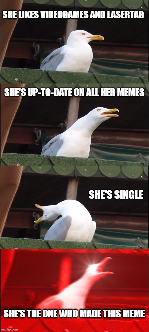 memer girl | SHE LIKES VIDEOGAMES AND LASERTAG; SHE'S UP-TO-DATE ON ALL HER MEMES; SHE'S SINGLE; SHE'S THE ONE WHO MADE THIS MEME | image tagged in memes,inhaling seagull | made w/ Imgflip meme maker