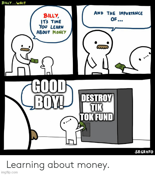 Billy Learning About Money | GOOD BOY! DESTROY TIK TOK FUND | image tagged in billy learning about money | made w/ Imgflip meme maker