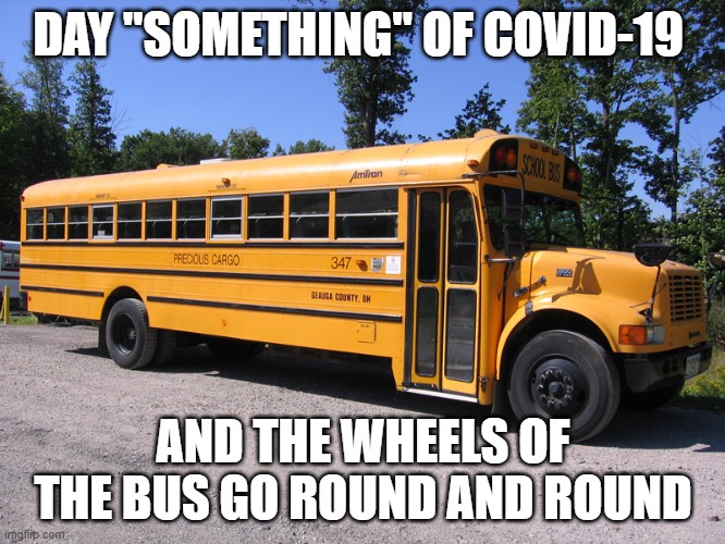 school bus | DAY "SOMETHING" OF COVID-19; AND THE WHEELS OF THE BUS GO ROUND AND ROUND | image tagged in school bus | made w/ Imgflip meme maker