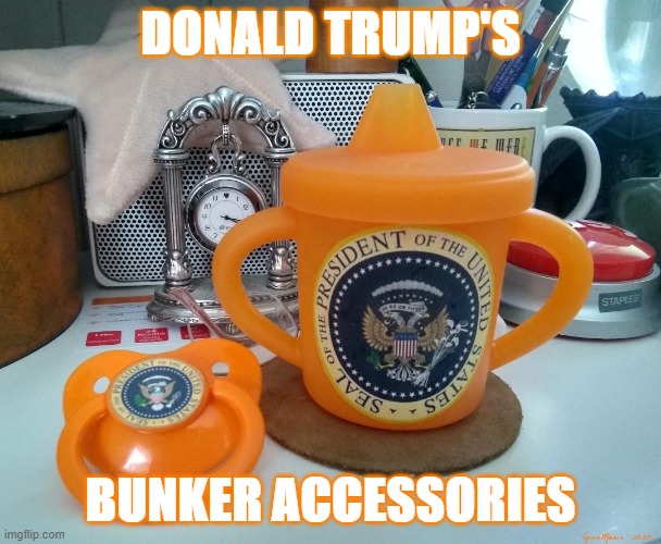 Trump's Bunker Accessories | DONALD TRUMP'S; BUNKER ACCESSORIES | image tagged in trump,bunker,pacifier,sippy cup | made w/ Imgflip meme maker