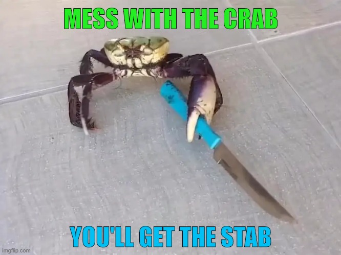 Mess With The Crab, You'll Get The Stab | image tagged in crab,stab | made w/ Imgflip meme maker