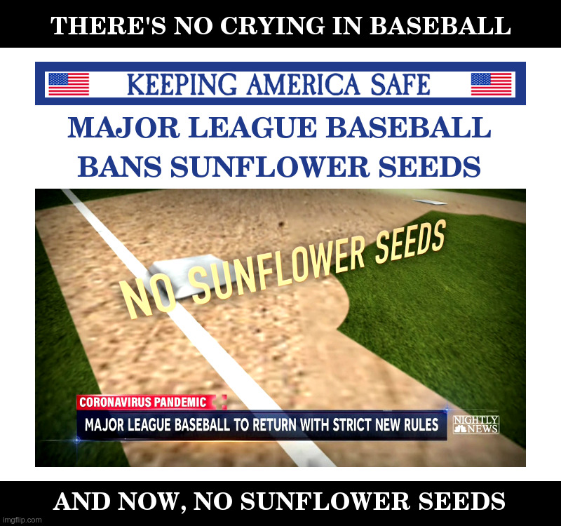 Keeping America Safe: From Sunflower Seeds? | image tagged in america,baseball,mom,apple pie,sunflower,seeds | made w/ Imgflip meme maker