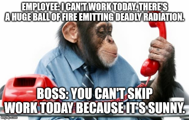 Call into work | EMPLOYEE: I CAN'T WORK TODAY. THERE'S A HUGE BALL OF FIRE EMITTING DEADLY RADIATION. BOSS: YOU CAN'T SKIP WORK TODAY BECAUSE IT'S SUNNY. | image tagged in phonemonkey,phone call,boss | made w/ Imgflip meme maker