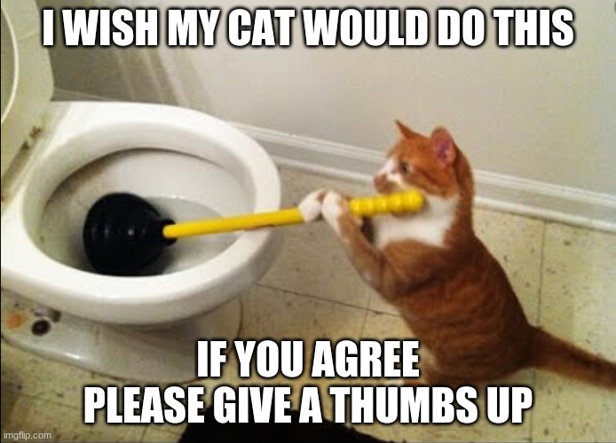 Cat plunging toilet | I WISH MY CAT WOULD DO THIS; IF YOU AGREE PLEASE GIVE A THUMBS UP | image tagged in cat plunging toilet | made w/ Imgflip meme maker