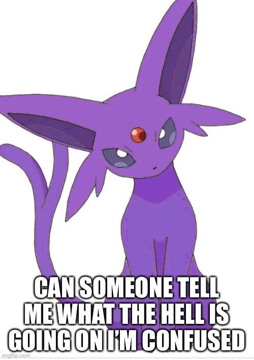 CAN SOMEONE TELL ME WHAT THE HELL IS GOING ON I’M CONFUSED | made w/ Imgflip meme maker