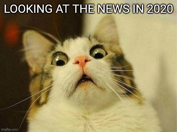 Breaking news | LOOKING AT THE NEWS IN 2020 | image tagged in memes,scared cat | made w/ Imgflip meme maker