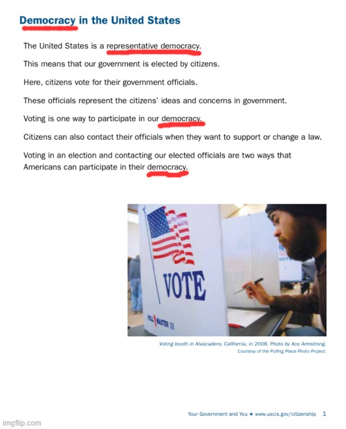 The U.S. is a democracy. But don't take it from me, take it from the USCIS. | image tagged in democracy in the united states,immigration,democracy,america,united states,government | made w/ Imgflip meme maker