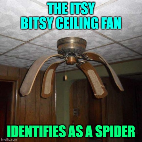 My ceiling fan identifies as a SPIDER! | THE ITSY BITSY CEILING FAN; IDENTIFIES AS A SPIDER | image tagged in spider,ceiling fan | made w/ Imgflip meme maker