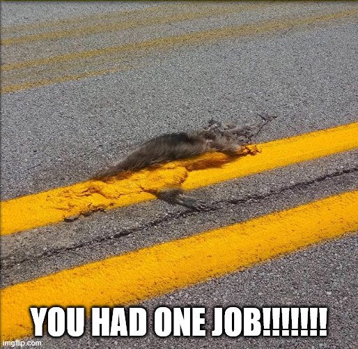 Also playing Frogger can result in disaster. | YOU HAD ONE JOB!!!!!!! | image tagged in memes,you had one job,really | made w/ Imgflip meme maker