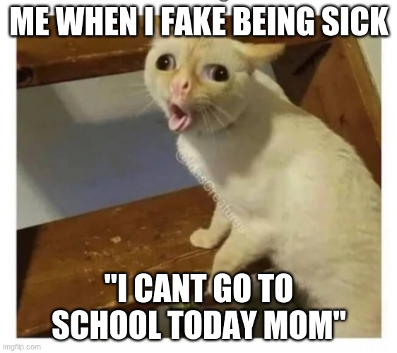 Coughing Cat | ME WHEN I FAKE BEING SICK; "I CANT GO TO SCHOOL TODAY MOM" | image tagged in coughing cat | made w/ Imgflip meme maker