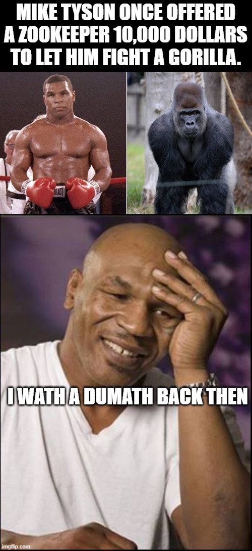 This would've ended badly | MIKE TYSON ONCE OFFERED A ZOOKEEPER 10,000 DOLLARS TO LET HIM FIGHT A GORILLA. I WATH A DUMATH BACK THEN | image tagged in funny,funny memes | made w/ Imgflip meme maker
