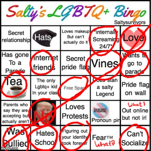 Somehow I got the Bingo diagonally. | image tagged in lgbtq,bingo | made w/ Imgflip meme maker