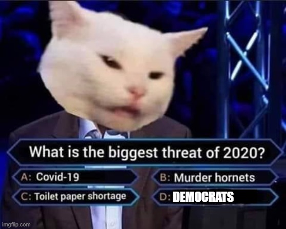What is the Biggest Threat of 2020? | DEMOCRATS | image tagged in stupid liberals,democrats | made w/ Imgflip meme maker