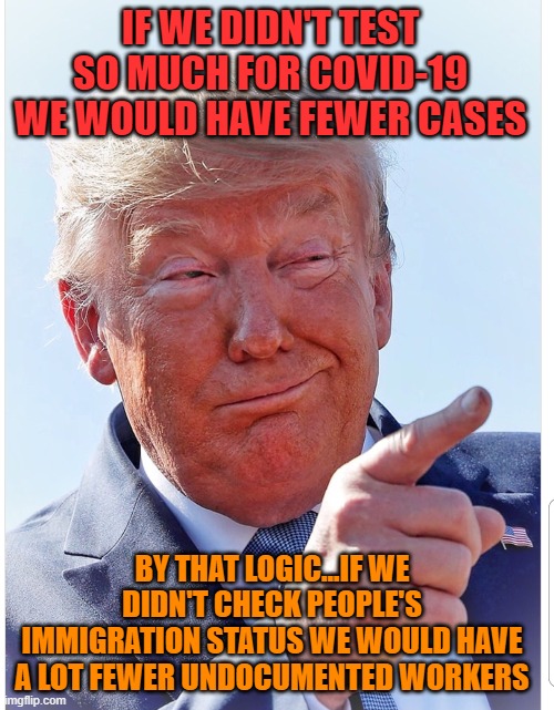 If we didn't do any pregnancy testing we would have a lot fewer pregnancies | IF WE DIDN'T TEST SO MUCH FOR COVID-19 WE WOULD HAVE FEWER CASES; BY THAT LOGIC...IF WE DIDN'T CHECK PEOPLE'S IMMIGRATION STATUS WE WOULD HAVE A LOT FEWER UNDOCUMENTED WORKERS | image tagged in trump pointing | made w/ Imgflip meme maker