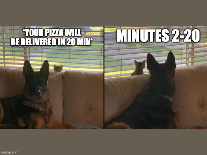 Delivery Patience | MINUTES 2-20; *YOUR PIZZA WILL BE DELIVERED IN 20 MIN* | image tagged in cat,dog,german shepherd,pizza,delivery,pizza delivery | made w/ Imgflip meme maker