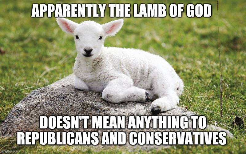 When a reptard calls you a sheep here is your response! | APPARENTLY THE LAMB OF GOD; DOESN'T MEAN ANYTHING TO REPUBLICANS AND CONSERVATIVES | image tagged in memes,scumbag republicans,conservative hypocrisy,lamb,god | made w/ Imgflip meme maker