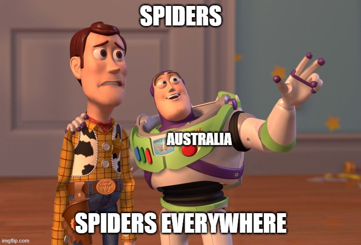 spiders | SPIDERS; AUSTRALIA; SPIDERS EVERYWHERE | image tagged in memes,x x everywhere | made w/ Imgflip meme maker