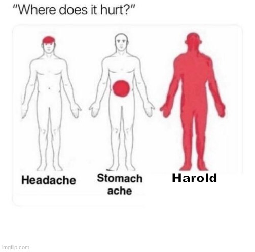 Where does it hurt | Harold | image tagged in where does it hurt | made w/ Imgflip meme maker