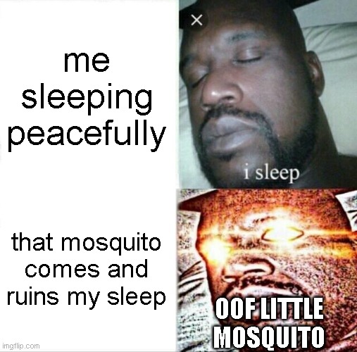 Sleeping Shaq Meme | me sleeping peacefully; that mosquito comes and ruins my sleep; OOF LITTLE MOSQUITO | image tagged in memes,sleeping shaq | made w/ Imgflip meme maker