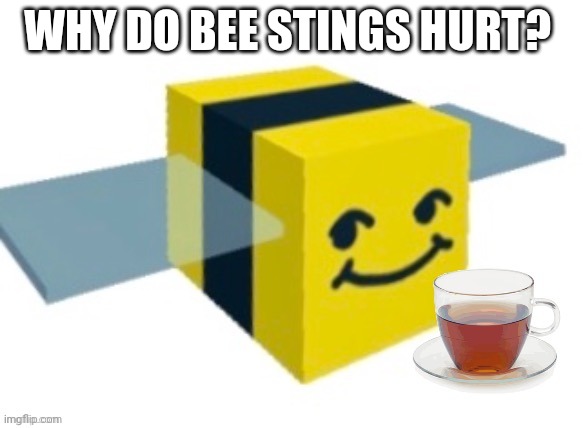 Melon with tea | WHY DO BEE STINGS HURT? | image tagged in melon with tea | made w/ Imgflip meme maker