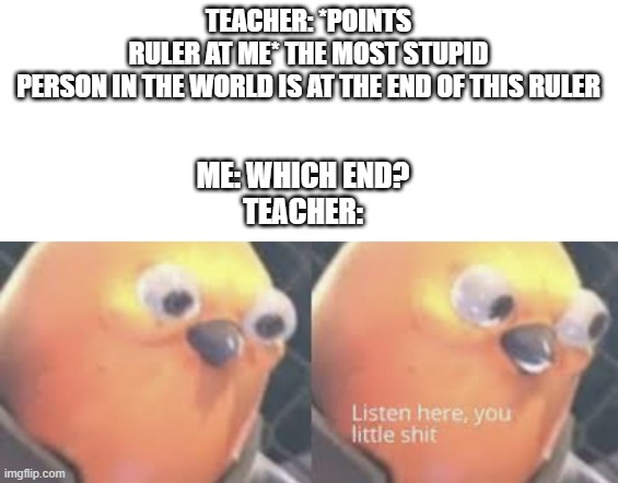 Listen here you little shit bird | TEACHER: *POINTS RULER AT ME* THE MOST STUPID PERSON IN THE WORLD IS AT THE END OF THIS RULER; ME: WHICH END?
TEACHER: | image tagged in listen here you little shit bird | made w/ Imgflip meme maker