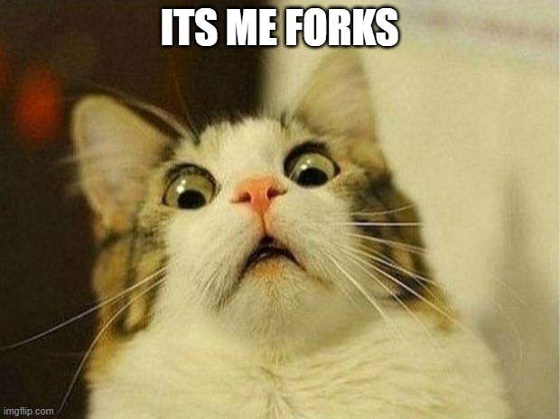 First meme | ITS ME FORKS | image tagged in memes,scared cat | made w/ Imgflip meme maker