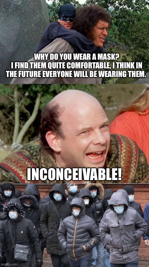 Mask | WHY DO YOU WEAR A MASK?
I FIND THEM QUITE COMFORTABLE, I THINK IN THE FUTURE EVERYONE WILL BE WEARING THEM. INCONCEIVABLE! | image tagged in face mask,princess bride,funny memes | made w/ Imgflip meme maker