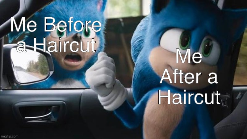 Sonic Movie Old vs New | Me Before a Haircut; Me After a Haircut | image tagged in sonic movie old vs new | made w/ Imgflip meme maker