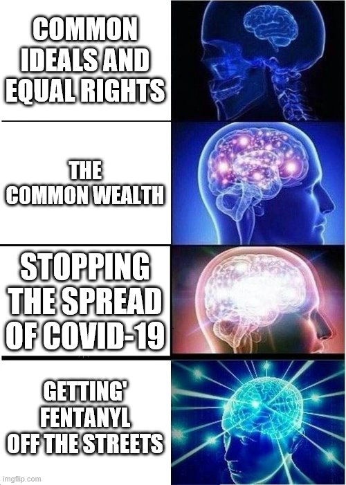 Yep we hold these things self evident yet a valuable commodity | COMMON IDEALS AND EQUAL RIGHTS; THE COMMON WEALTH; STOPPING THE SPREAD OF COVID-19; GETTING' FENTANYL OFF THE STREETS | image tagged in memes,expanding brain,drugs are bad | made w/ Imgflip meme maker